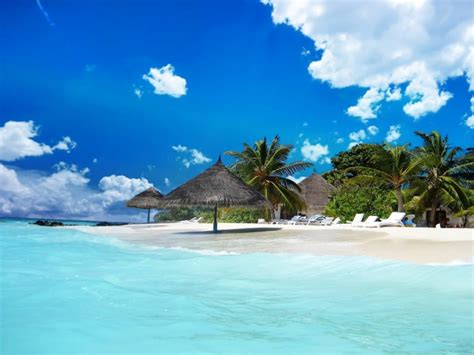 Bahamas Caribbean Ocean Blue Water Tropical Beach Sand Palm Trees Umbrella Of Straw Tropical Hd