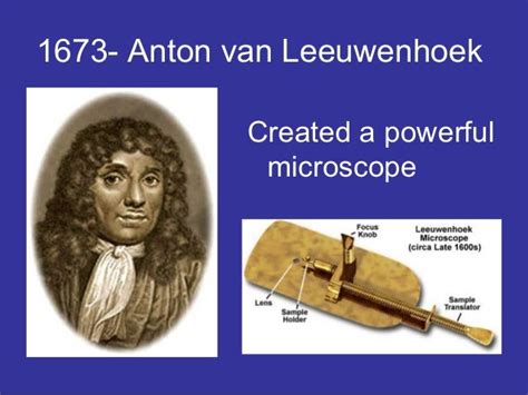 Anton Van Leeuwenhoek Cell Theory