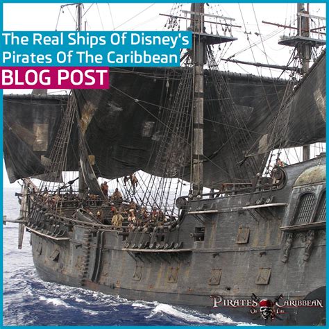 The Real Ships Of Disney S Pirates Of The Caribbean