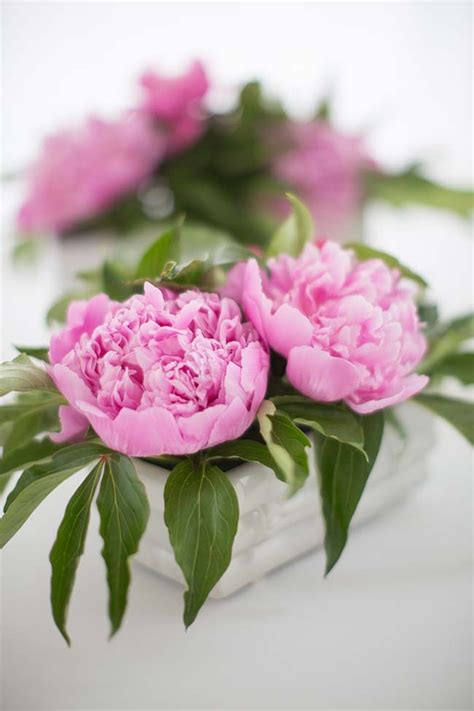 Make These Simple Diy Peony And Rose Flower Centerpieces