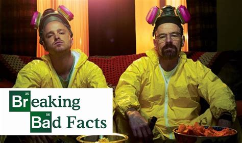 Top Interesting Facts About Breaking Bad Factum