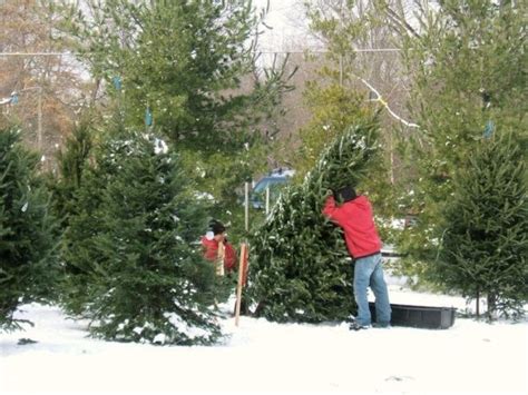The Best Places To Get A Christmas Tree In Columbus