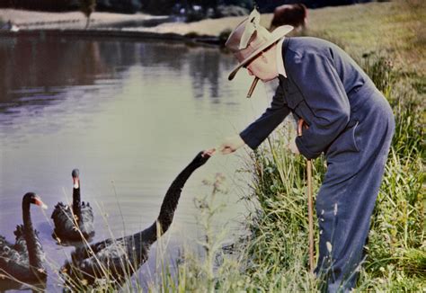 Sir Winston Churchill Famous Cigar Smokers Rare Photos