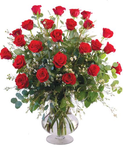 Two Dozen Red Roses Vase Arrangement In Pensacola Fl Cordova Flowers