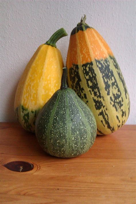 What Are These Pumpkinsquash Varieties