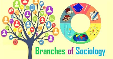Fields Of Sociology How Many Branches Of Sociology Are There The