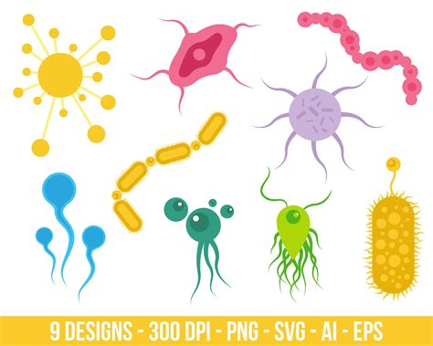 Microscopic Microorganisms Clipart Set Digital Images Or Vector