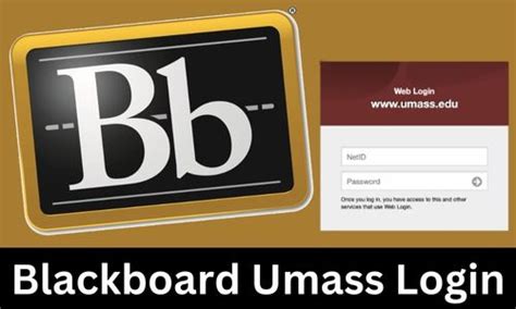 Blackboard Umass Login How To I Login My Blackboard Umass Account