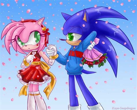 Amy Adiós Sonic Sonic Amy Espera Te Amo Amy Rose Sonic Y Amy