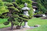 Photos of Japanese Rock Garden Landscaping Ideas