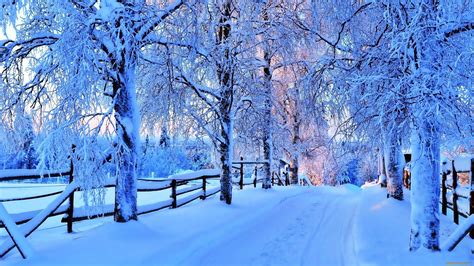Wallpaper Snow Winter Tree Nature Full Hd Hdtv 1080p