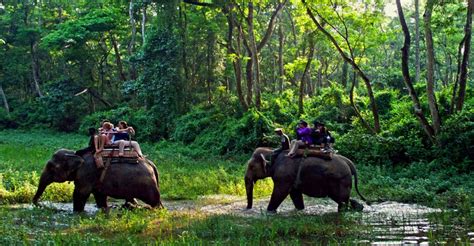Parsa National Park A Paradise For Wildlife Enthusiasts