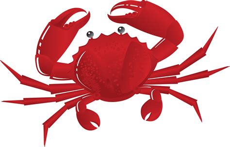 Red King Crab Clipart Clipground