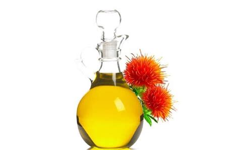 Safflower Oil Complete Information Including Health Benefits