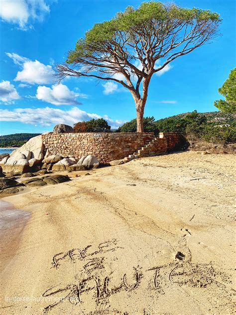 De l'hostellerie du moulin des oliviers 5* luxe avec corsica ferries fond d'écran plage corse gratuit