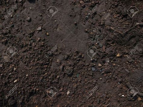Free 7 Soil Texture Designs In Psd Vector Eps