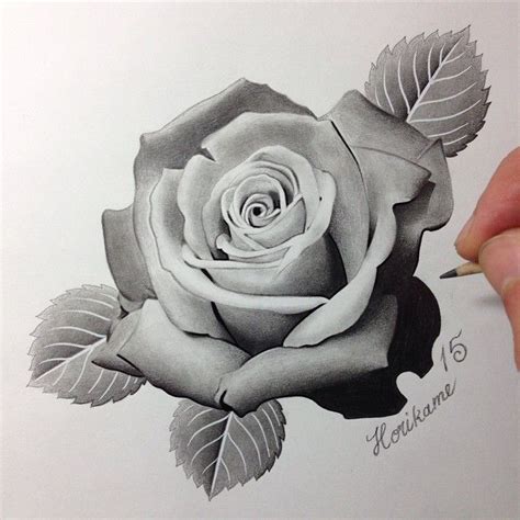 766 Best Roses Images On Pinterest Flower Tattoos Rose