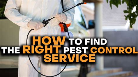 How To Find The Right Pest Control Service Upkeen