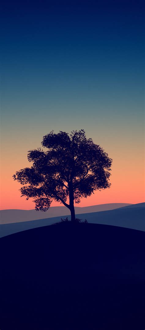 1080x2460 Tree Alone Dark Evening 4k 1080x2460 Resolution Wallpaper Hd