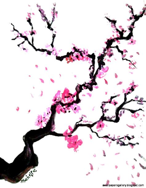 Cherry Blossom Tree Drawing Step By Step At