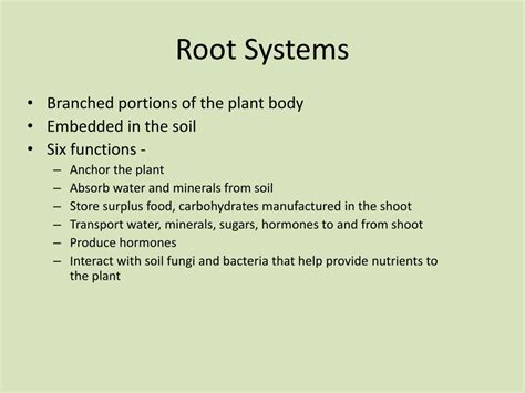 Ppt Organ Systems In Plants Powerpoint Presentation