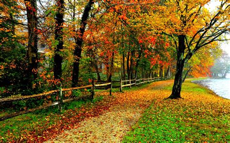 Download Fall Foliage Desktop Wallpaper By Laurao49 Fall Foliage
