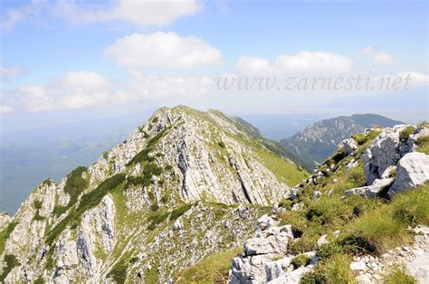 See more of parcul national piatra craiului on facebook. Galerie Foto Piatra Craiului, Imagini munti, Poze munti ...