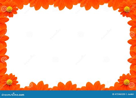 Orange Flower Frame On White Background Stock Illustration