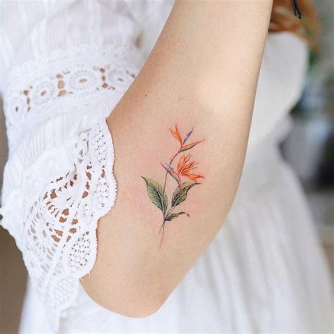 Bird Of Paradise Flower Tattoo By Vanetattoo Tattoos Bird Of