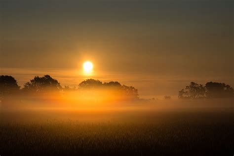 Hd Wallpaper Sunrise Fog Field Trees Morning Landscape