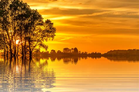 If you're looking for the best png wallpapers then wallpapertag is the place to be. Canvas Print Isolated Holiday Nature Tree Png Sunset Sun Stretched Canvas 10 x 14 - Walmart.com ...