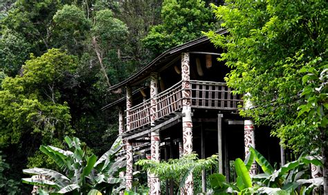 From the intriguing colonial base of kuching, you can can leap into sarawak's main attractions. longhouse in sarawak Borneo - Viaggiatore.net