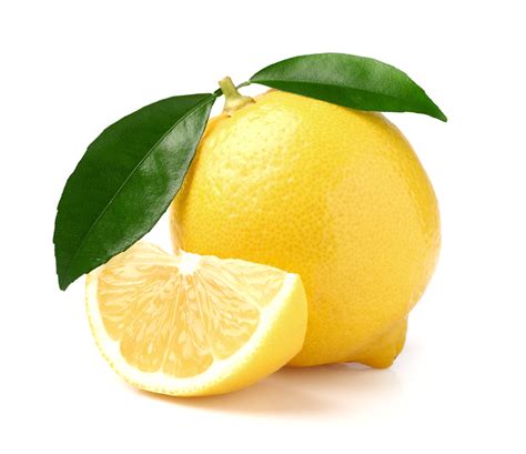 Pomona Sweet Semi-Dwarf Lemon Tree