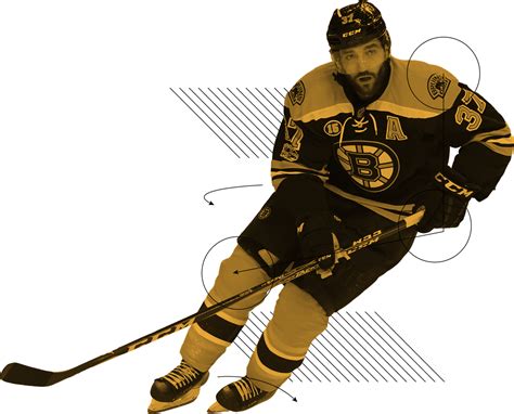 Boston Bruins Nhl Preview 2017