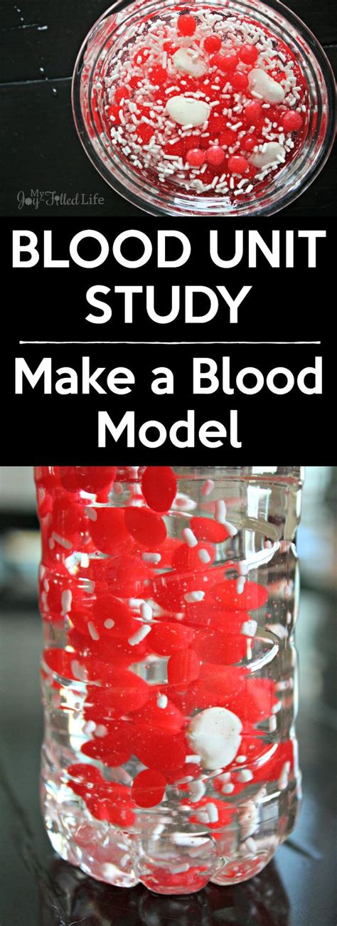 Make A Blood Model In A Bottle Components Of Blood Activity For Kids