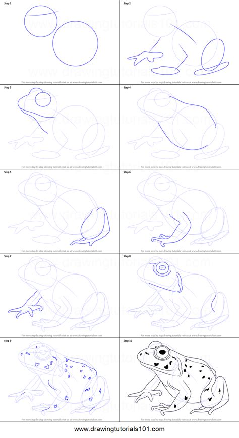 Https://tommynaija.com/draw/how To Draw A Bullfrog