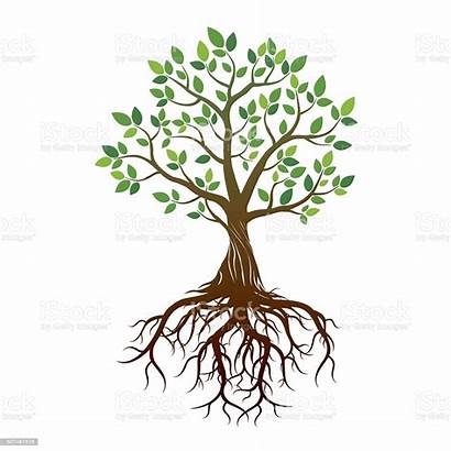 Clipart Roots Tree Baum Wurzeln Albero Radici