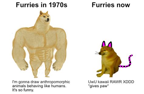 Tier fotos tiere fotos bilder witzige bilder lustige tierfotos. Furries in 1970s versus furries now | Swole Doge vs. Cheems | Know Your Meme