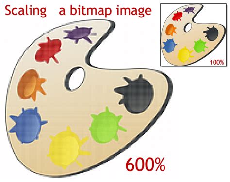 Vector And Bitmap Images Explained And Compared