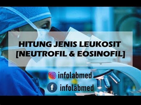 Hitung Jenis Leukosit Neutrofil Eosinofil Youtube