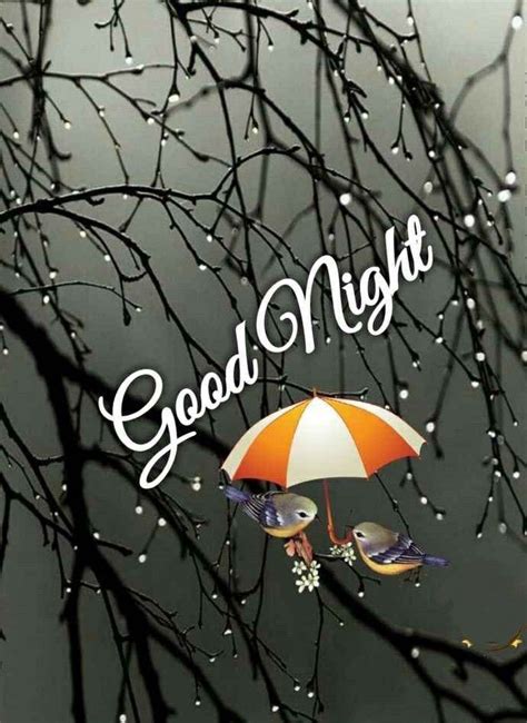 Pin By Nina Addis On Good Night 13 Good Night Greetings Beautiful