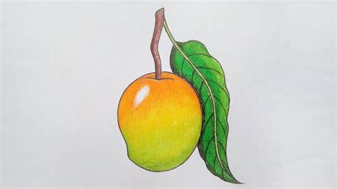 Easy Step Cute Mango Drawing It Is Very Interesting Easy Mango