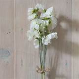 Silk Sweet Pea Flowers Images