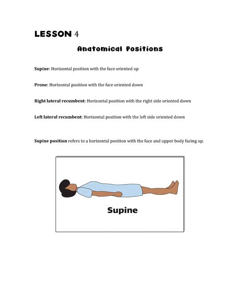 Anatomical Position Quizlet