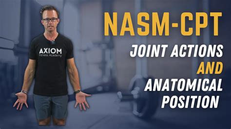 Joint Actions And Anatomical Positions Axiom Fitness Academy