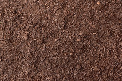 Soil Texture Detail For Gardening Nature Stock Photos ~ Creative Market