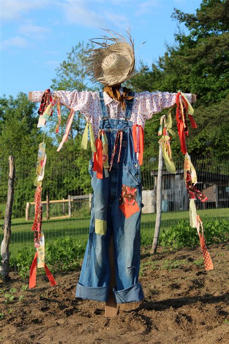 How to Make a Scarecrow. | Make a scarecrow, Diy scarecrow ...