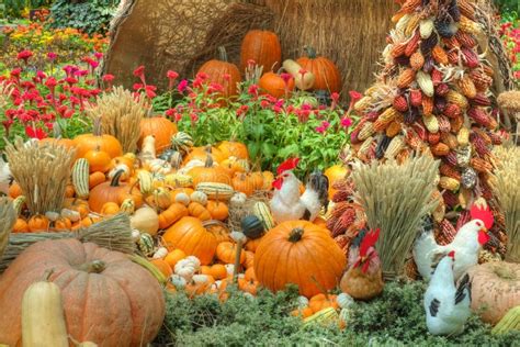 A Bountiful Autumn Harvest Stock Photo Image Of Bountiful 27051084