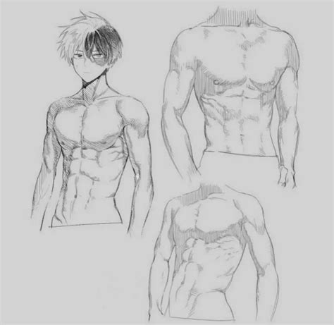 Anime Abs Drawing Reference Artful Anatomy Art Reference Point