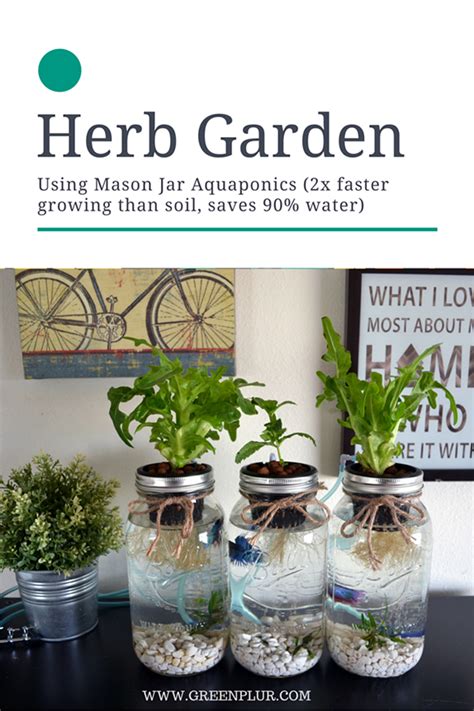 Diy Hydroponic Herb Garden Mason Jar Mason Jar Herb Garden Grow Herbs
